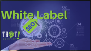 White-Label-SEO-Agency-1024x579