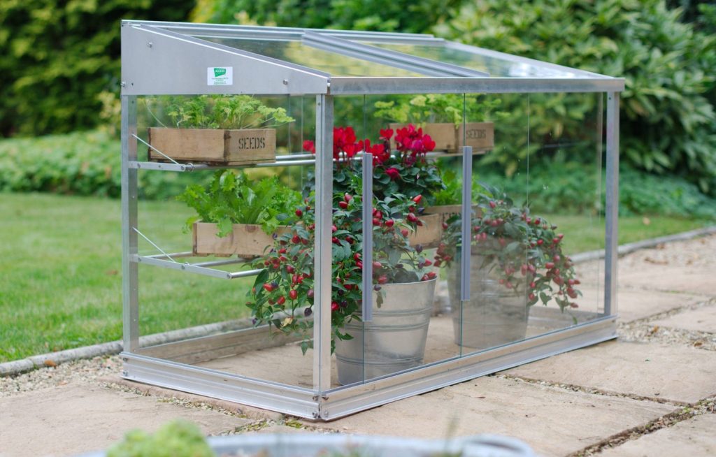 Small Greenhouses: The Ultimate Guide for Gardeners